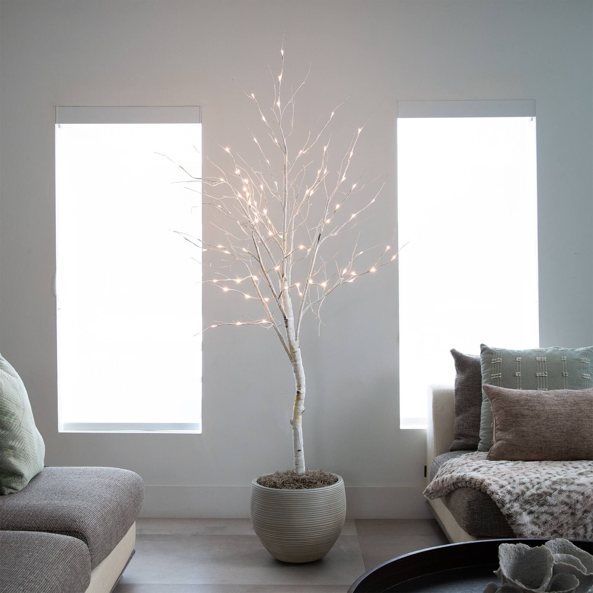 6ft. Pre-Lit White Birch Artificial Christmas Tree, White LED Lights